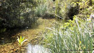 stello marchesa di Cassibile-10-02-2015 19-57-16